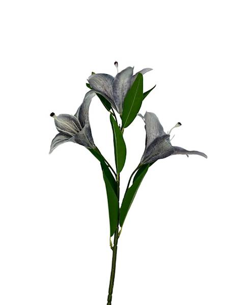 LILIA GAŁĄZKA 92 CM SZARA