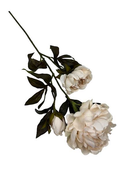 Piwonia gałązka 85 cm beżowa