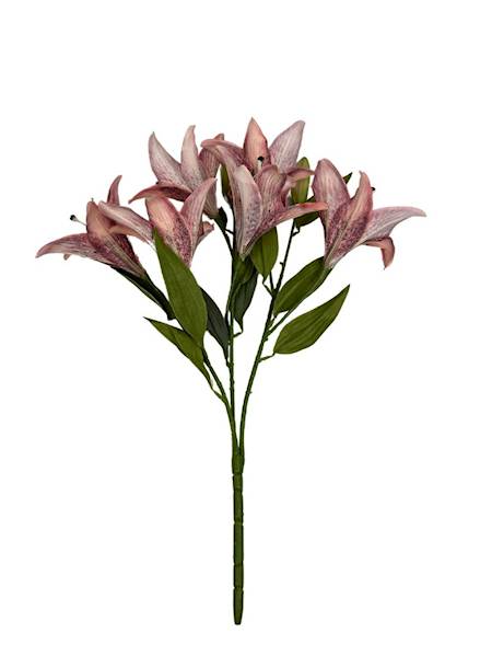 BUKIET LILII 60 CM JASNO CZERWONY