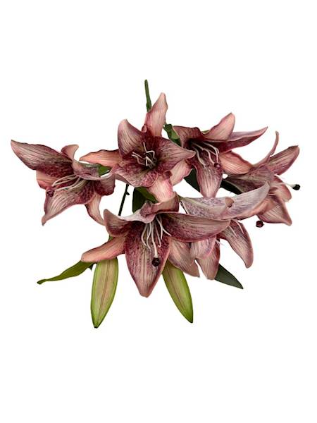 BUKIET LILII 60 CM JASNO CZERWONY