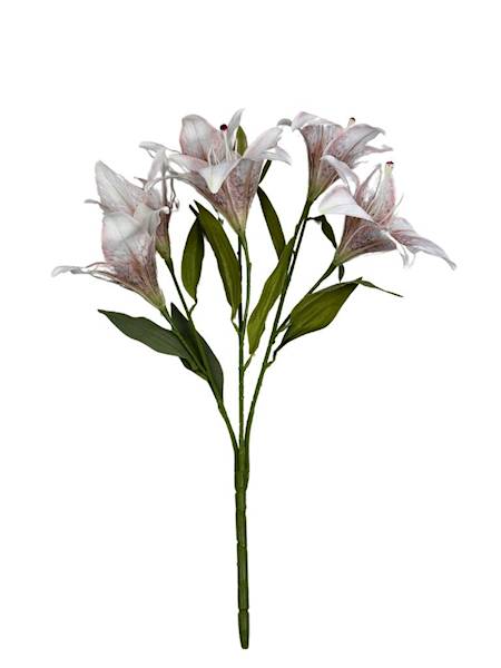 BUKIET LILII 60 CM BIAŁO CZERWONY