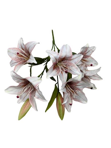 BUKIET LILII 60 CM BIAŁO CZERWONY