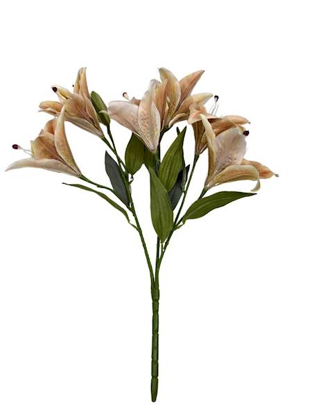 BUKIET LILII 60 CM JASNY BRĄZ