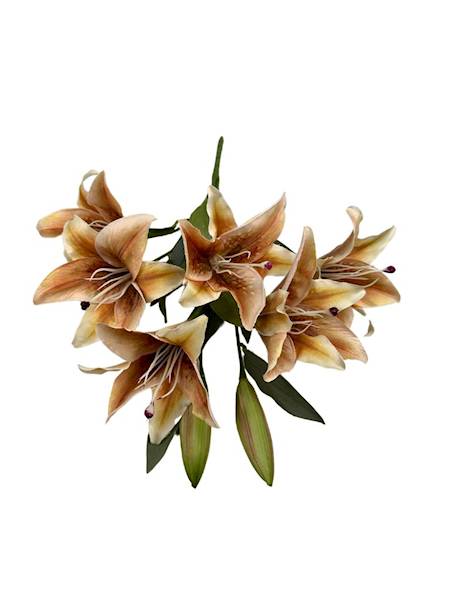 BUKIET LILII 60 CM JASNY BRĄZ