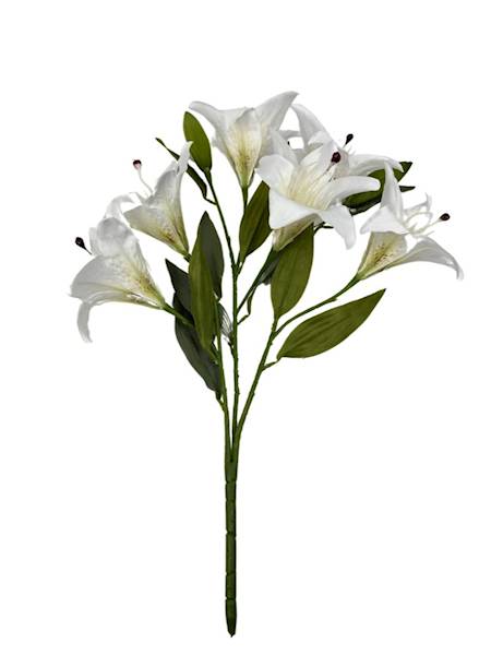 BUKIET LILII 60 CM BIAŁY