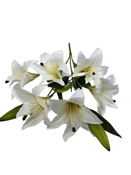 BUKIET LILII 60 CM BIAŁY