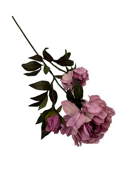 Piwonia gałązka 85 cm różowa