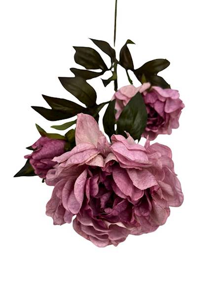 Piwonia gałązka 85 cm różowa