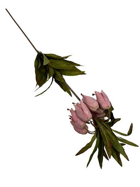 Cesarska korona gałązka 80 cm brudny róż