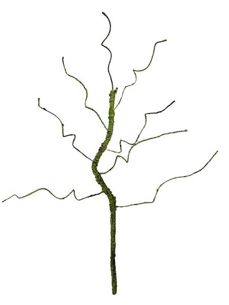 Korzeń 64 cm zielony