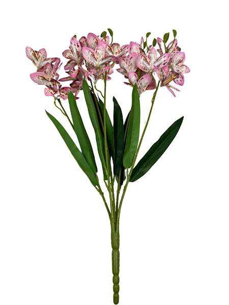 Storczyk bukiet 59 cm różowy