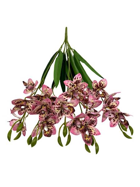 Storczyk bukiet 59 cm różowy