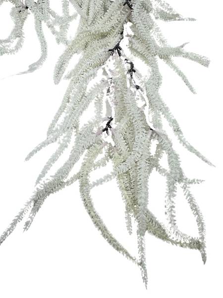 Szarłat amarnatus 70 cm biały