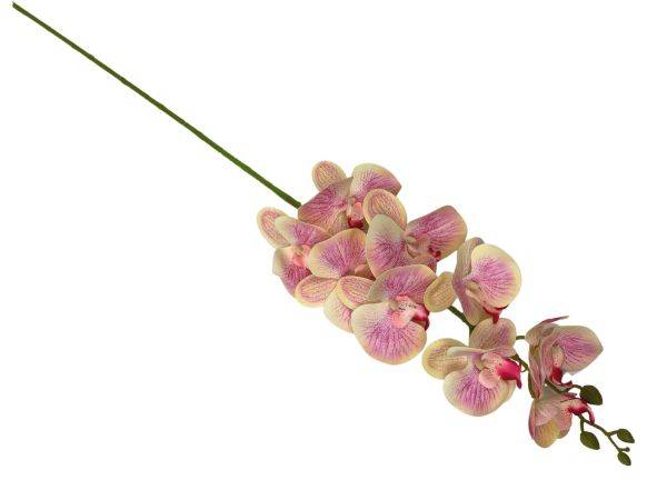 Storczyk gałązka 99 cm kremowo różowy