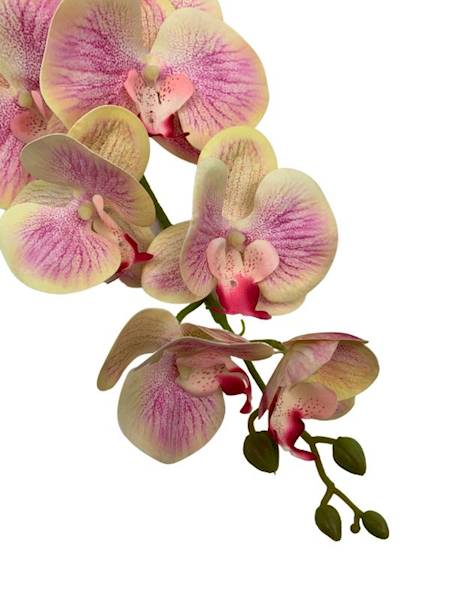 Storczyk gałązka 99 cm kremowo różowy