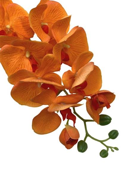 Storczyk gałązka 100 cm pomarańczowy