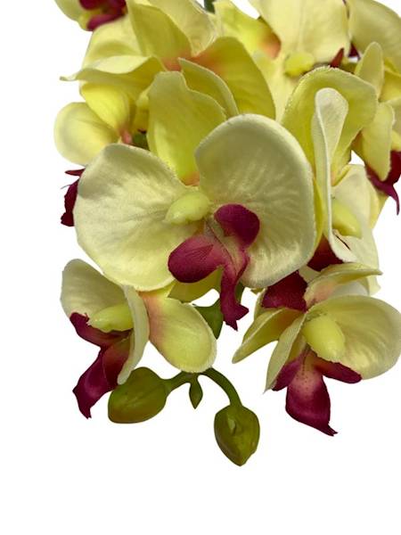 Storczyk gałązka 56 cm żółty