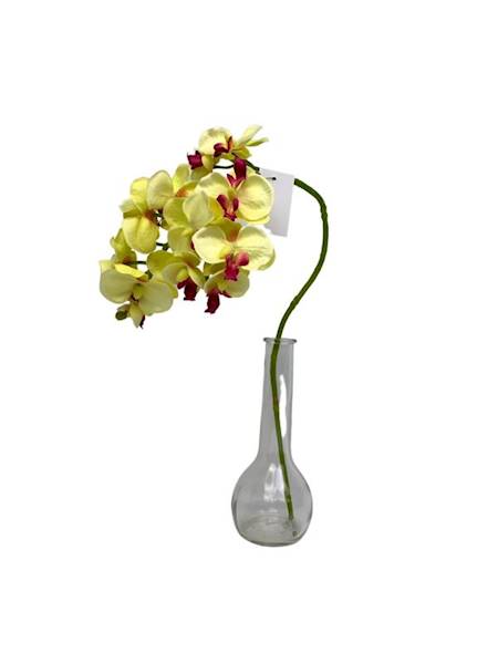 Storczyk gałązka 56 cm żółty