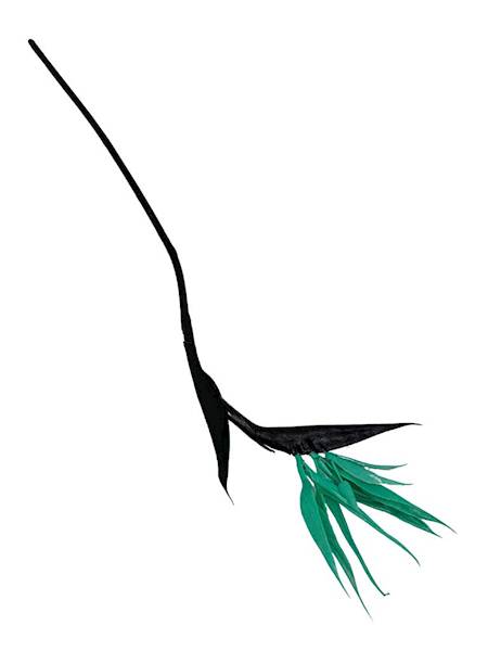 Strelicja rajski ptak 84 cm turkusowa