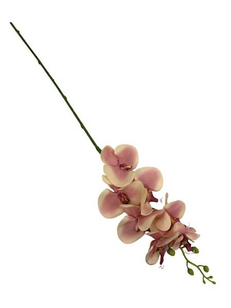 Storczyk gałązka 85 cm różowo kremowy