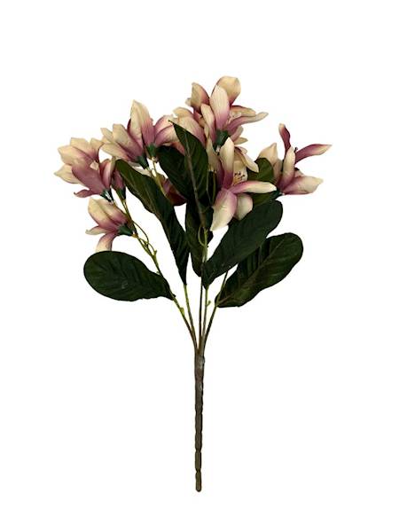 Bukiet astromelia 42 cm beż i róż