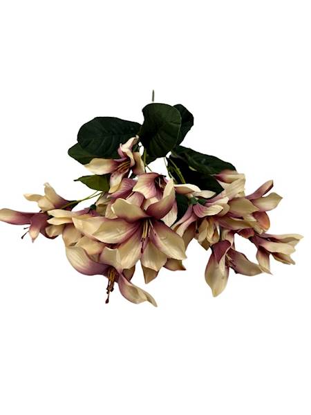 Bukiet astromelia 42 cm beż i róż