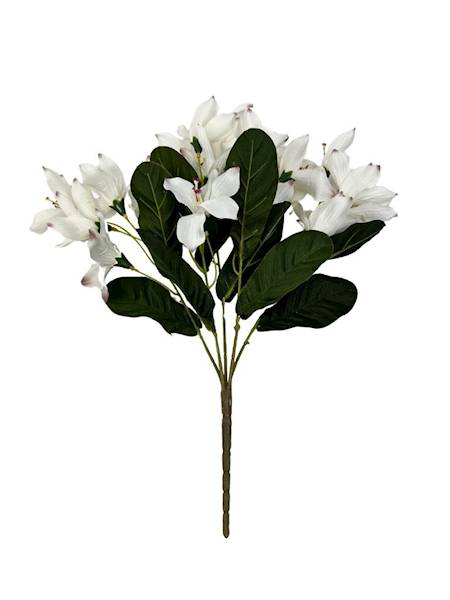 Bukiet astromelia 42 cm biała