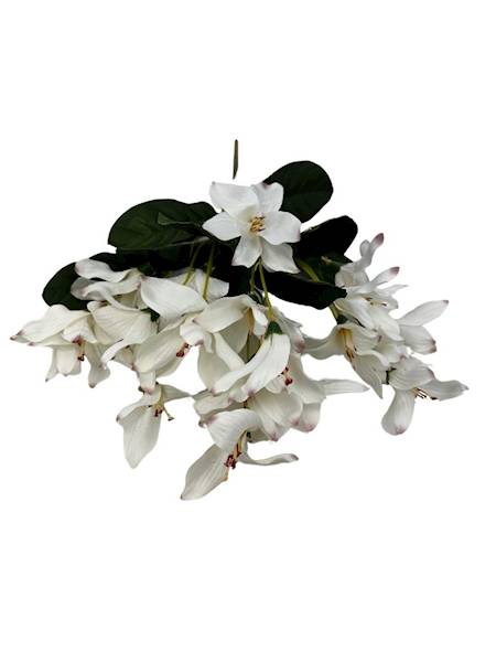 Bukiet astromelia 42 cm biała