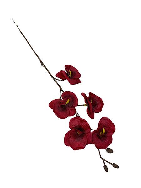Storczyk mini gałązka 41 cm czerwony