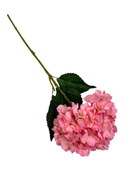 Hortensja gałązka 60 cm różowa