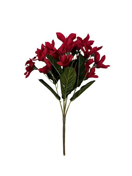 Bukiet astromelia 42 cm czerwona