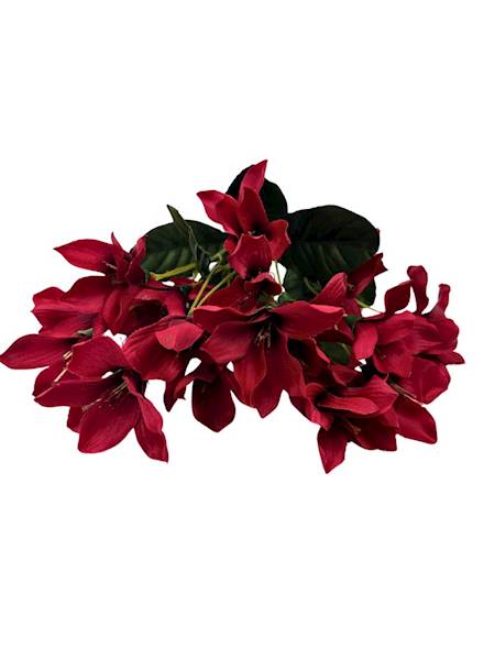 Bukiet astromelia 42 cm czerwona