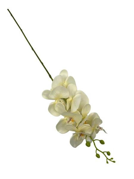 Storczyk gałązka 85 cm kremowy