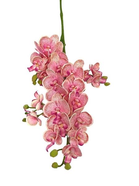 Storczyk gałązka 73 cm jasno różowy