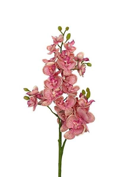 Storczyk gałązka 73 cm jasno różowy