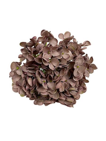 Hortensja główka 18 cm brudny fiolet