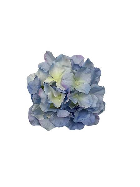 Hortensja główka 17 cm błękitna