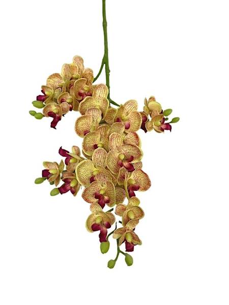 Storczyk gałązka 73 cm żółty z czerwonymi nakropie