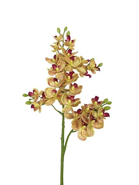 Storczyk gałązka 73 cm żółty z czerwonymi nakropie