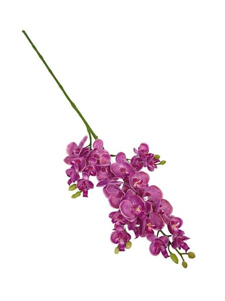 Storczyk gałązka 73 cm fioletowy z nakropieniami