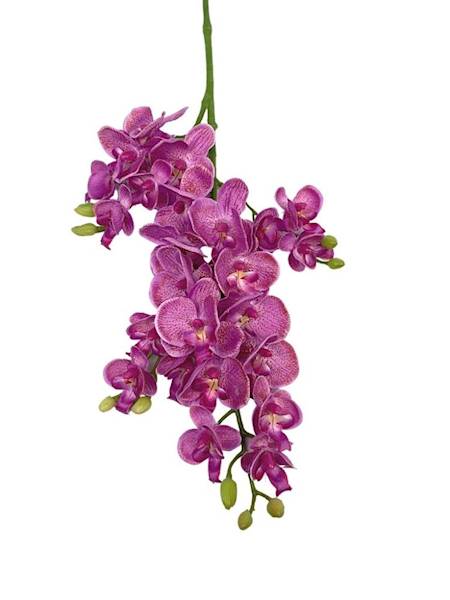 Storczyk gałązka 73 cm fioletowy z nakropieniami