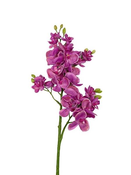 Storczyk gałązka 73 cm fioletowy z nakropieniami