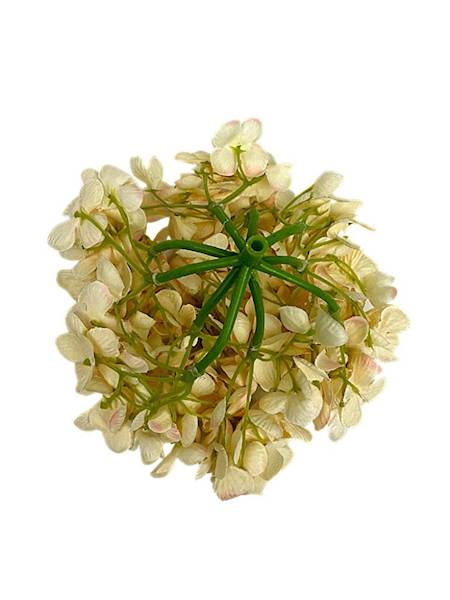 Hortensja główka 18 cm kremowa z różem