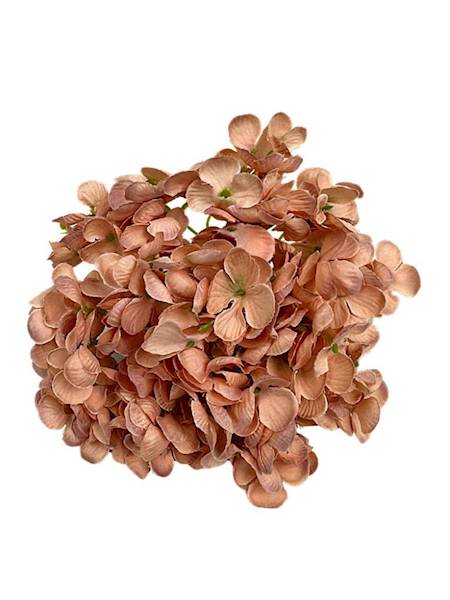 Hortensja główka 18 cm pudrowy róż