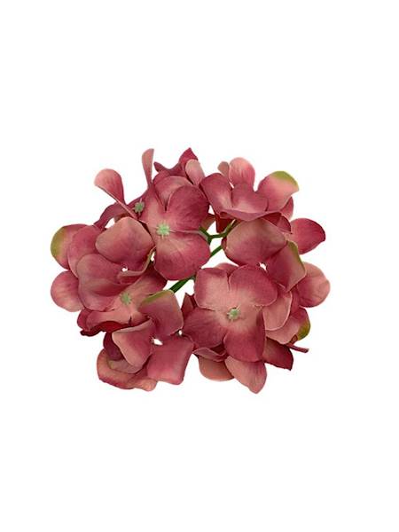 Hortensja główka 13 cm brudny róż