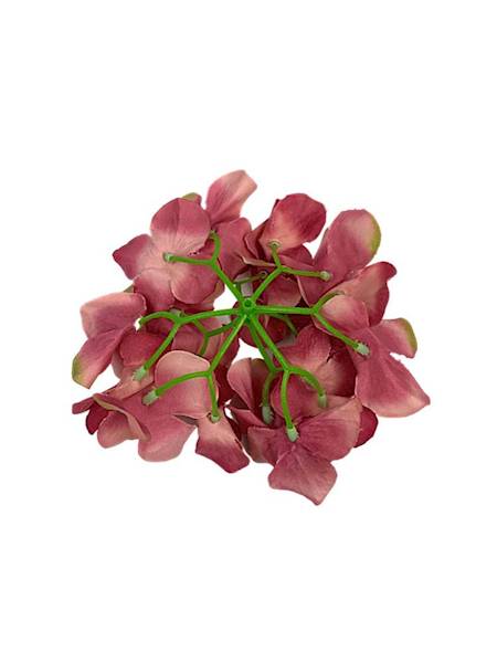 Hortensja główka 13 cm brudny róż