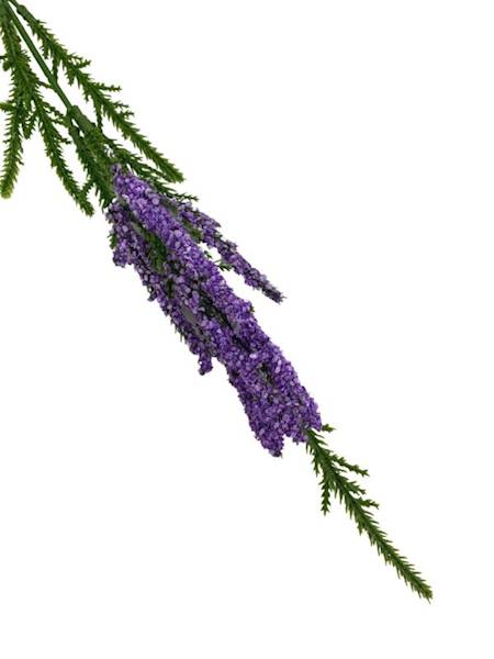 Wrzos gałązka 40 cm fiolet