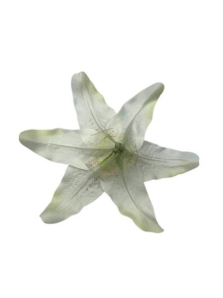 Lilia główka 19 cm kremowa