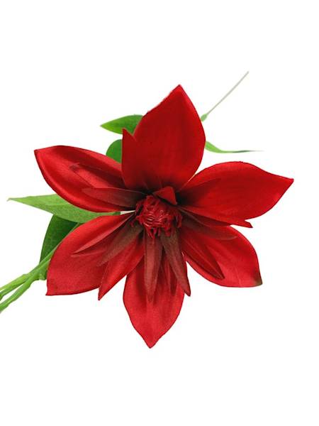 Klematis gałązka 48 cm czerwony