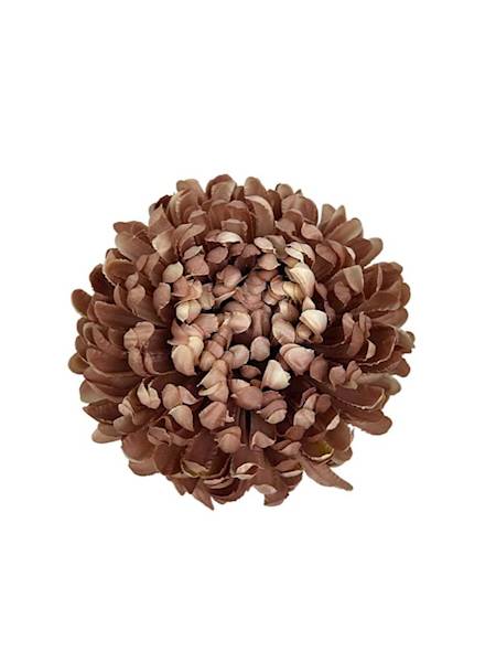 Chryzantema główka  XL 16 cm capuccino